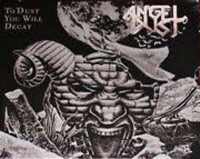 ANGEL DUST - To Dust You Will Decay - CD